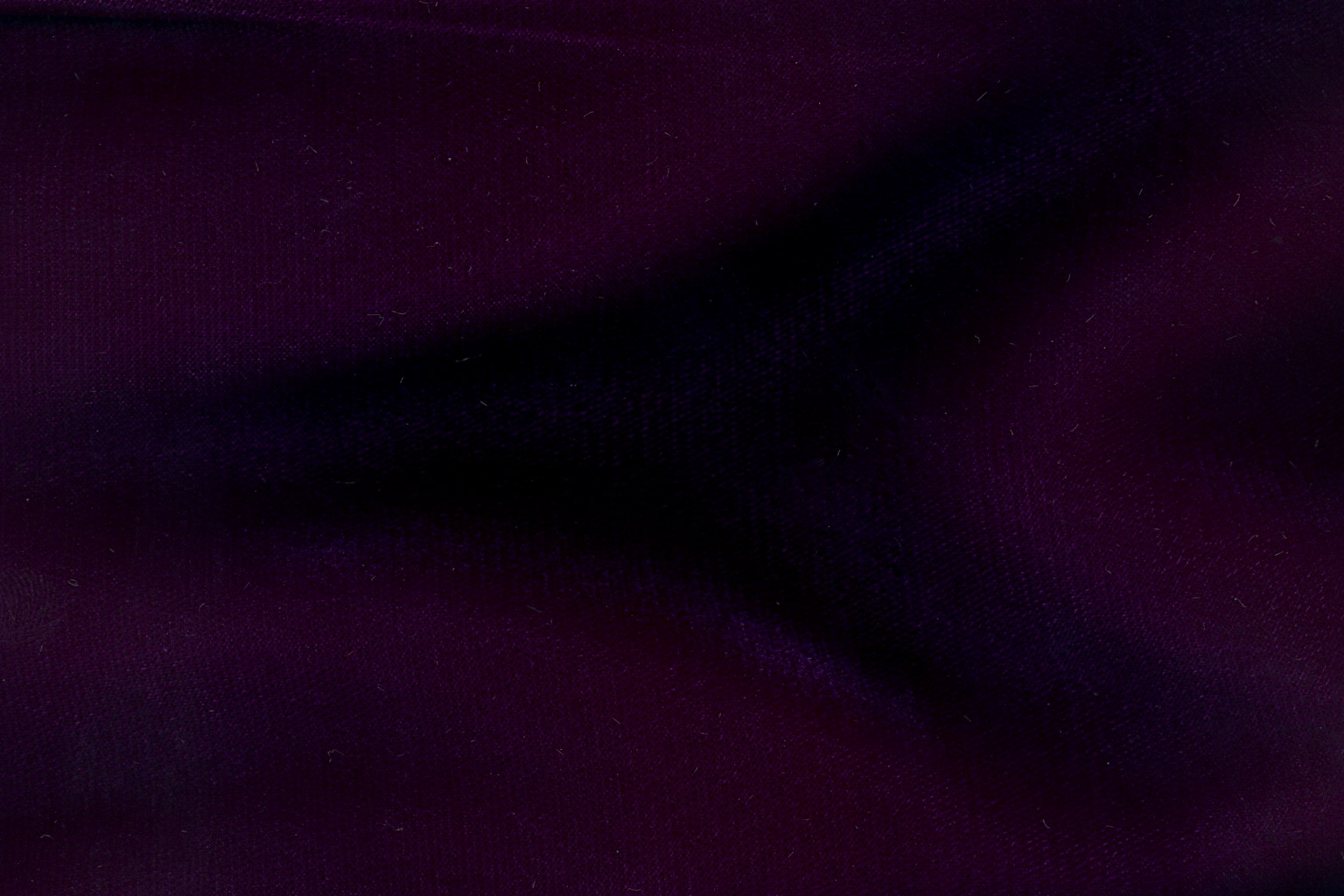 DOGE Purple