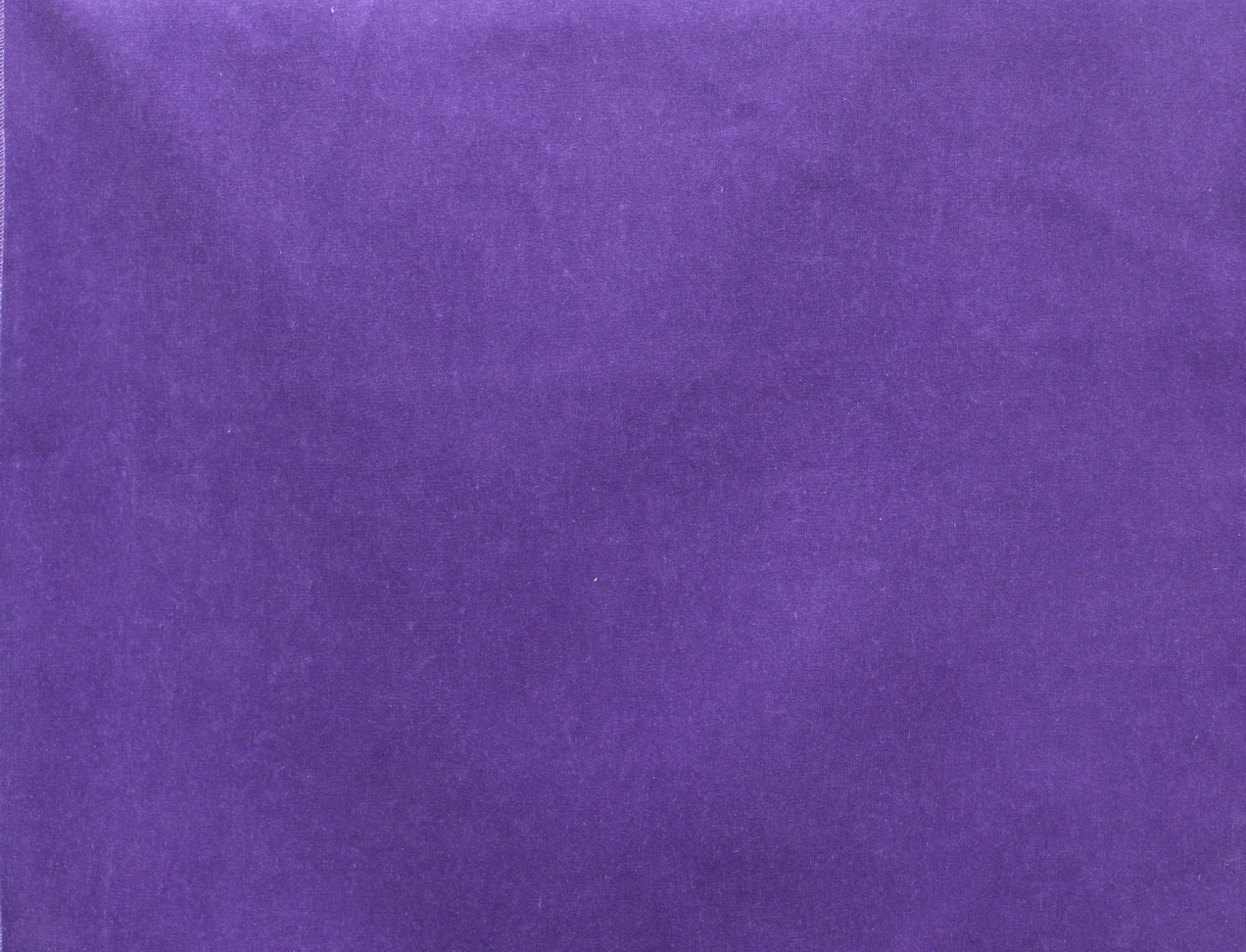 LIOCORNO Purple